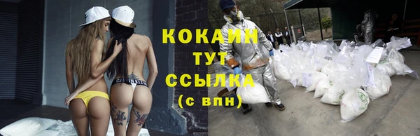 твердый Бронницы