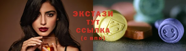 гашик Богородицк